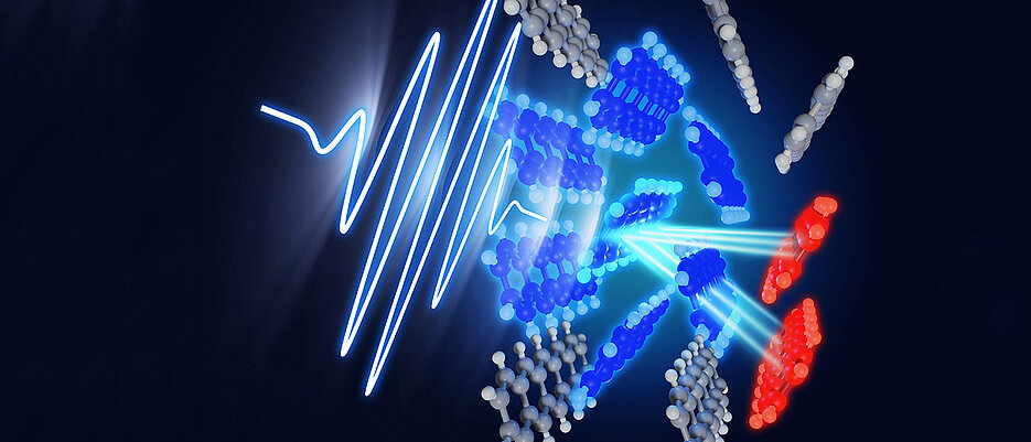 In the singlet exciton fission process, a singlet exciton (blue) is created upon absorbing light and then splits into two triplets (red) on ultrafast timescales. The team tracked real-time molecular motions acompanying this process in pentacene. 