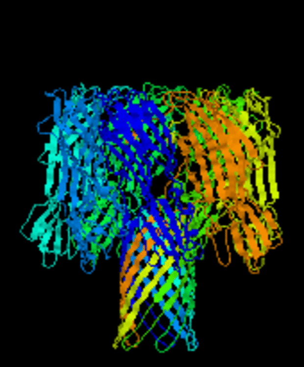 Image of research to  Proteins in Cell-Cell Interactions and Motility