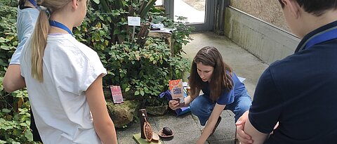 Die Schüler:innen stehen im Kreis und die Studentin legt verschiedene Begriffskarten zum Thema der Nachhaltigkeit in der Mitte aus.