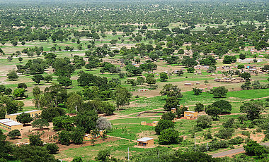 Eine typisch westafrikanische Landschaft: topfeben, mit vielen einzeln stehenden Bäumen, dazwischen Felder und Siedlungen.
