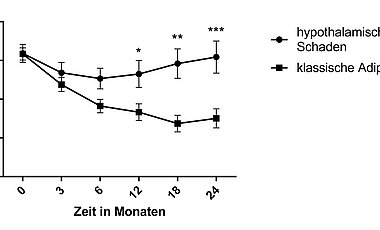 Gewichtsverlauf von Patienten mit hypothalamischem Schaden und klassischer Adipositas nach bariatrischer Chirurgie. In ersterer Gruppe ist kein dauerhafter gewichtsreduzierender Effekt zu sehen. 