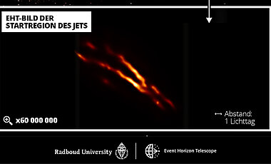 Das neue höchstauflösende Bild der Jet-Startregion, das mit dem EHT mit einem 60 000 000-fachen-Zoom gewonnen wurde. Die Entfernungen sind in Lichtjahren und Lichttagen dargestellt. Ein Lichtjahr entspricht etwa neun Billionen Kilometer. Im Vergleich dazu beträgt die Entfernung zum nächstgelegenen bekannten Stern von unserer Sonne etwa vier Lichtjahre.
