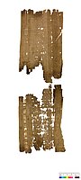 Hier sieht man die Rückseite des mittelbraunen Papyrus.