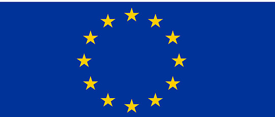 [Translate to Englisch:] Fahne der Europäischen Union