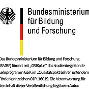 GSiK erhält Förderung aus dem BMBF.