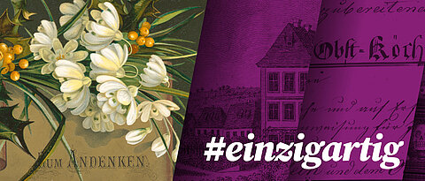 #einzigartig – Freundschaft zum Aufblättern