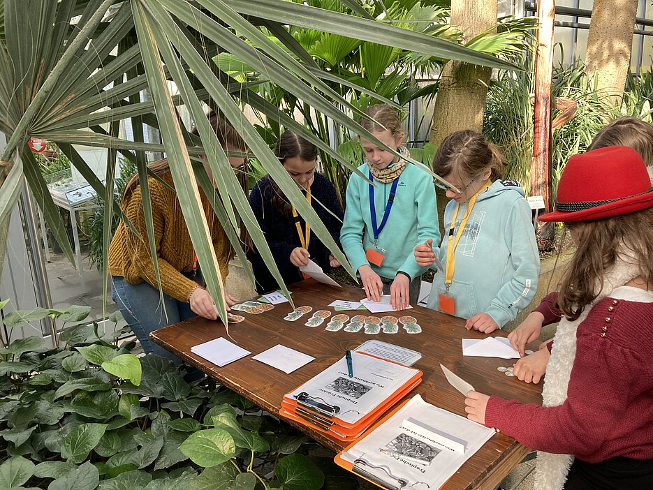 Das Foto zeigt eine Gruppe von Schülerinnen mit einer Studentin an der Ananas-Station im Nutzpflanzenhaus des Botanischen Gartens.