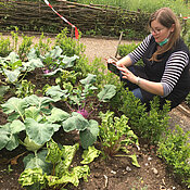 Anna Schumacher zeigt bei einer Zoom-Sitzung im Botanischen Garten das Kohlrabi-Bete-Beet des LehrLernGartens.