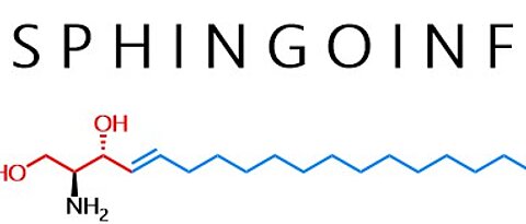 Sphingoinf Logo