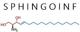 Sphingoinf Logo