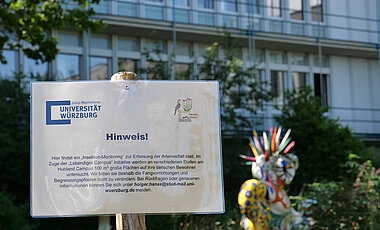 Auf Kleinbiotopen am Würzburger Hubland-Campus wird die Artenvielfalt dokumentiert.