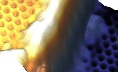 Bismuten-Film mit Unterbrechung an einer Stufe in der Sliziumkarbid-Unterlage, beobachtet mit  Rastertunnel-Mikroskopie. An der Substratstufe enden die Filmbereiche zwangsläufig, und ein leitfähiger Randkanal (weiß)  tritt auf. (Abbildung: Felix Reis)