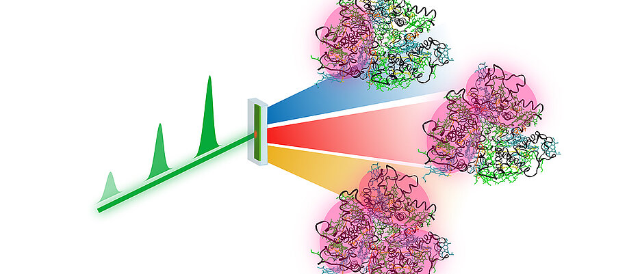 In the new method, laser pulses of different power (green) are combined in such a way that single excitation (blue), double excitation (red) and triple excitation (yellow) can be distinguished, for example, in biological light-harvesting complexes 