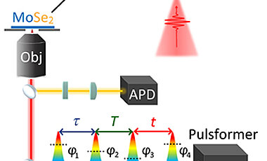 From bottom to top: Laser (oscillator), pulse shaper with generated four-pulse sequence, avalanche photodiode (APD) for detection, microscope objective (Obj), 2D material (MoSe2) with exciton (+/-) and oscillation (A1' phonon).