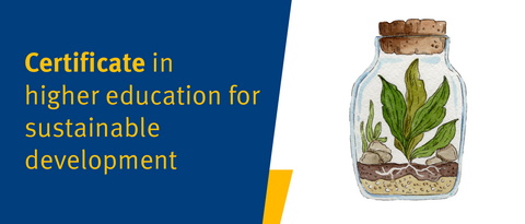 Certificate in higher education for sustainable development