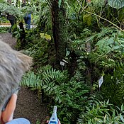 Ein Schüler misst die Temperatur im Bergnebelwaldhaus.