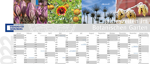 Der Wandkalender 2022 führt durch die Jahreszeiten im Botanischen Garten.