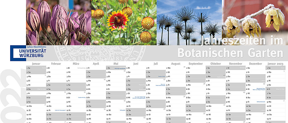 Der Wandkalender 2022 führt durch die Jahreszeiten im Botanischen Garten.