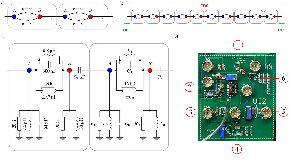 On the right, a unit cell cutout of the circuit board, which was built to demonstrate the non-Hermitian skin effect, is shown. In (a), the underlying theoretical non-Hermitian model is sketched, which describes the couplings between adjacent nodes. (b) depicts a schematic diagram of the full circuit chain with 20 unit cells with either periodic (without boundary) or open boundary conditions. (c) Circuit schematic of the periodically repeated unit cell with two internal nodes.