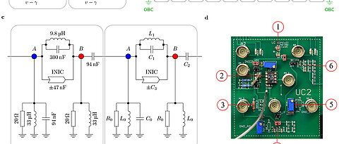 On the right, a unit cell cutout of the circuit board, which was built to demonstrate the non-Hermitian skin effect, is shown. In (a), the underlying theoretical non-Hermitian model is sketched, which describes the couplings between adjacent nodes. (b) depicts a schematic diagram of the full circuit chain with 20 unit cells with either periodic (without boundary) or open boundary conditions. (c) Circuit schematic of the periodically repeated unit cell with two internal nodes.