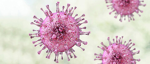 Grafische Illustration eines Zytomegalievirus