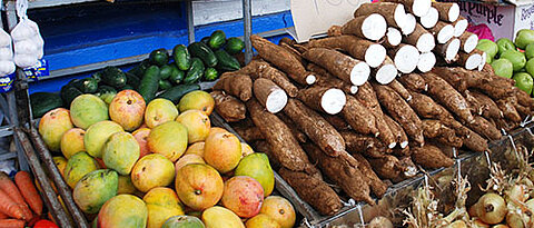 Markt in Costa Rica. (Foto: Gerd Vogg)