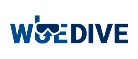 Logo von WueDive