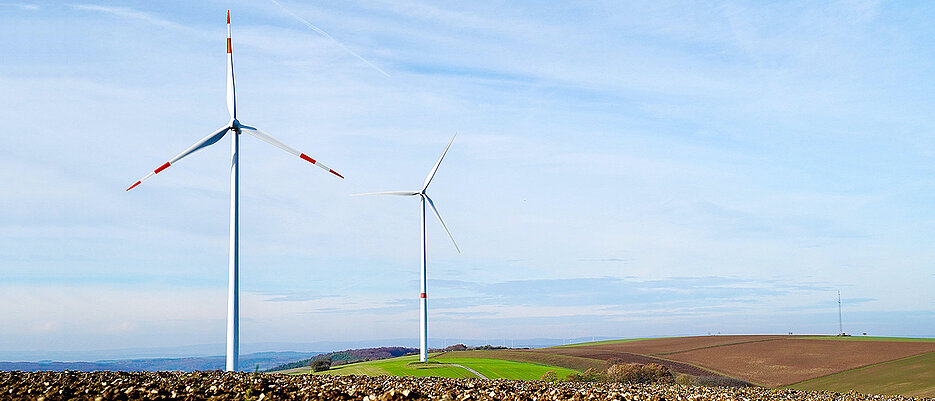 Wie lassen sich CO2-Emissionen in der Landwirtschaft reduzieren? Auch dieser Frage sind die Studierenden in ihrer Reportage nachgegangen. Windräder sind nur eine Möglichkeit.