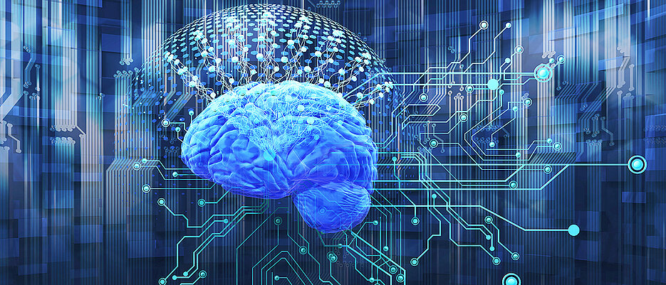 The exchange of information between different brain areas is similar to road traffic: the highway corresponds to structural brain connections, functional connections are the traffic that runs on it.