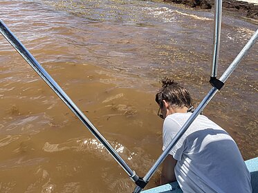 Prof. Laura Otto beim Einsammeln von Algen auf einem Boot