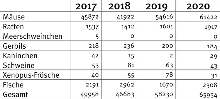 Eine Überblick über die Anzahl der bei Forschungsprojekten an der Universität Würzburg involvierten Versuchstiere in den Jahren 2017, 2018 und 2019.