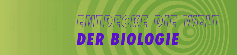 Entdecke die Welt der Biologie bei den MINT-Sommerschulen an der Uni Würzburg.