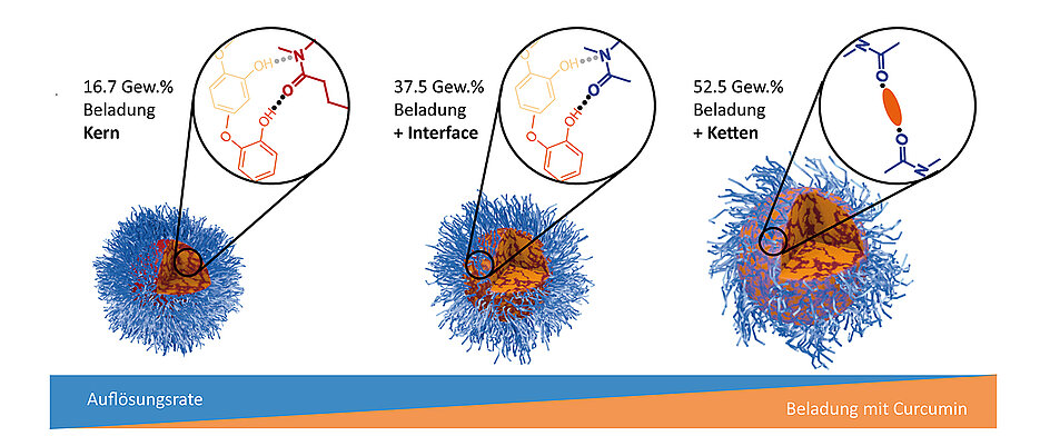 Bei steigender Beladung mit Curcumin (gelb) nimmt die Auflösbarkeit der Wirkstoff-Container aus Polymer-Mizellen (blau) ab.