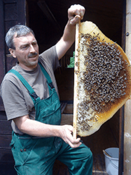 Bild: Ahrens-Lagast mit Bienen