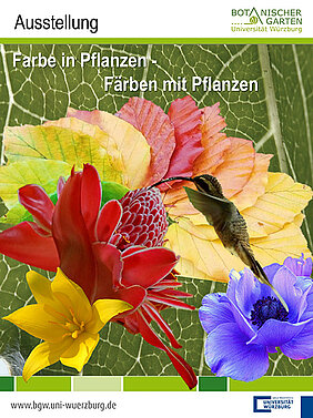 Im Farbenrausch: Das Plakat zur Ausstellung des Botanischen Gartens. (Bild: Botanischer Garten)