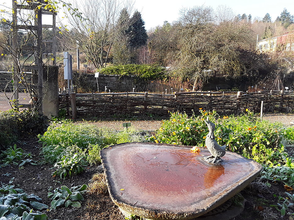 Zugefrorene Wassertränke im Bauerngarten