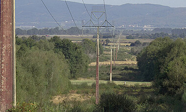 Hochspannungsleitungen in Galicien. In den hohlen Strommasten leben mehrere Bienenvölker.