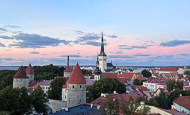 Blick über die Altstadt Tallinns.