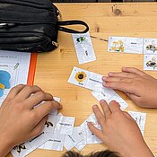 Die Schüler:innen überlegen, welcher Bestäuber zu welcher Blüte passt.