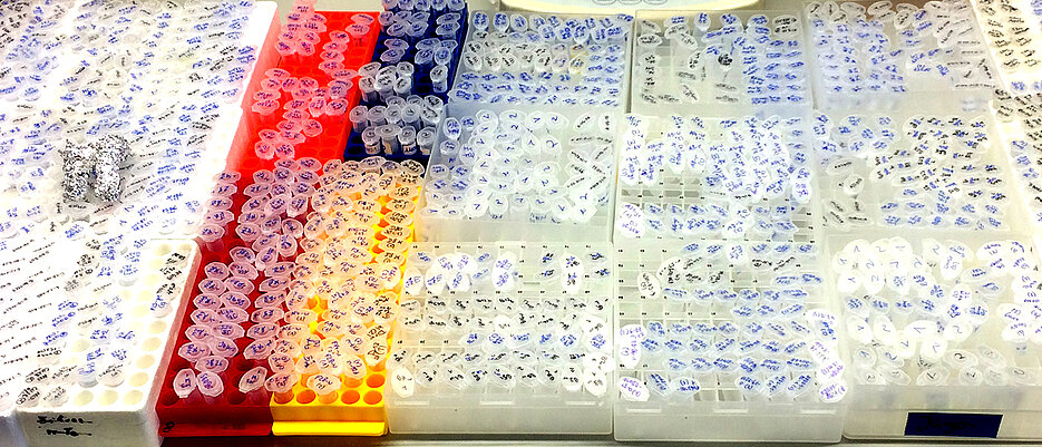 Each tube a different substance. JMU scientists are testing whether some of them are suitable as active ingredients against the coronavirus.