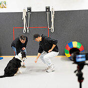 Kamera filmt eine Szene, in der ein Mann einen Patienten darin unterstützt, mit einem Hund umzugehen