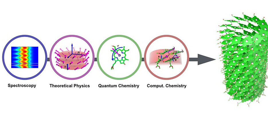 Die Aufklärung der atomistischen Struktur von Chlorosomen erfordert die Kombination verschiedener Disziplinen: Die spektroskopischen Signale liefern quanten-mechanische Information, die mittels der Quantenchemie in ein molekulares Bild überführt werden kann. Mit Hilfe von neu entwickelten Algorithmen wird die molekulare Anordnung in den Lichtantennen (ganz rechts im Bild) der Chlorosomen bestimmt.