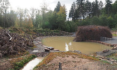 Blick ins Bibergehege mit der begehbaren Biberburg. (Foto: Stadt Bad Kissingen © Mario Selzer)