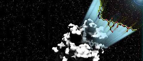 Wie ein Raumschiff landet das komplexe Zuckermolekül (bunt) passgenau auf dem Tumorprotein Galectin-1, das hier wie ein Meteorit aussieht und in schwarz-weiß dargestellt ist. (Bild: AK Seibel, VCH-Wiley)