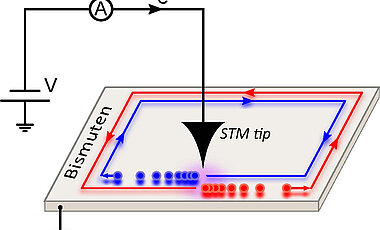 Schematische Darstellung des Bismuten-Experiments: Elektronen werden mit Hilfe einer Rastertunnel-Mikroskopie-Spitze (STM tip) in den Randkanal injiziert und bewegen sich entweder im (blau) oder gegen (rot) den Uhrzeigersinn ohne direkt in die jeweils andere Richtung gestreut werden zu können. Durch die Beschränkung auf den engen Randkanal ist die Wechselwirkung zwischen den Elektronen stark ausgeprägt. Dadurch werden die Elektronen gewissermaßen gestaut und abgebremst.