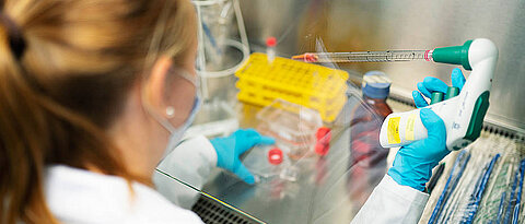 Im Labor werden Zellkulturen pipettiert, die für Experimente mit Erregern benötigt werden. (Bild: Leibniz-HKI / Anna Schroll)
