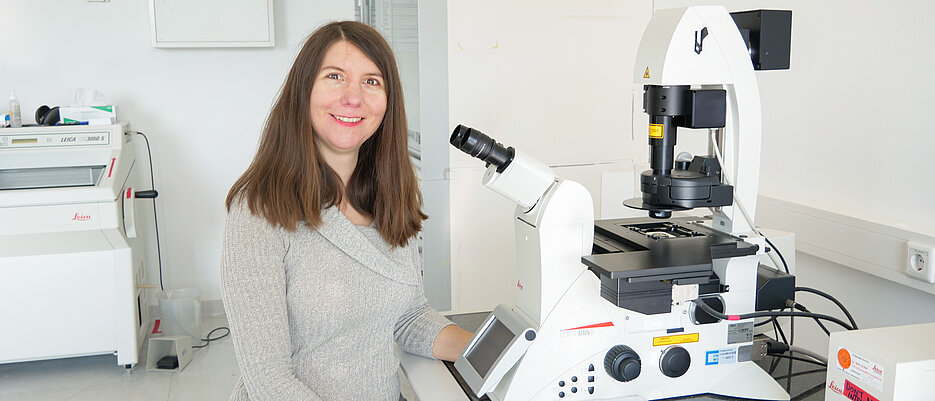 Wie Immunzellen ihre mechanische Umgebung wahrnehmen, darüber ist kaum etwas bekannt. Sie will das ändern: Anna Lippert ist neue Juniorprofessorin für translationale Medizin an der JMU.