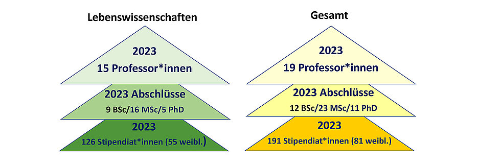 Zahl der BEBUC-Stipendiaten 2023 in den verschiedenen Stadien ihrer Karriere in den Lebenswissenschaften (links) und in allen wissenschaftlichen Bereichen (rechts).
