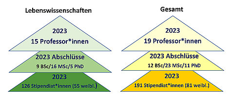 Zahl der BEBUC-Stipendiaten 2023 in den verschiedenen Stadien ihrer Karriere in den Lebenswissenschaften (links) und in allen wissenschaftlichen Bereichen (rechts).