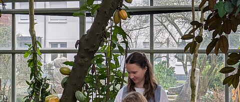 Eine Schülerin untersucht die Früchte des Kakaobaums. 